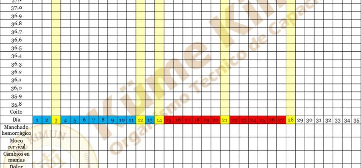 Temperatura Basal